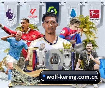 wolf-kering.com.cn APP | kaiyun app