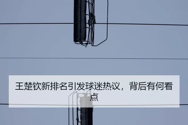 王楚钦新排名引发球迷热议，背后有何看点